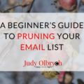 Pruning your email list
