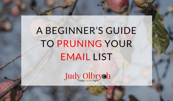 Pruning your email list