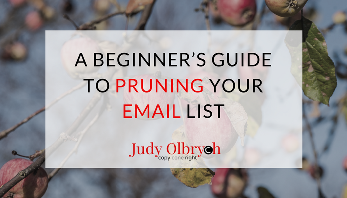 A Beginner’s Guide To Pruning Your Email List
